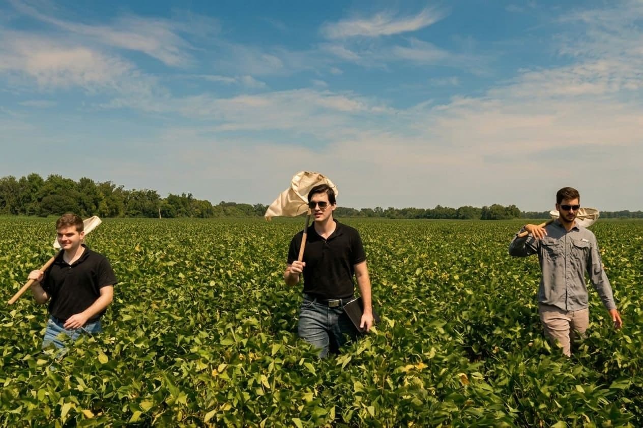 Colin Raby and two FarmMind cofounders walking through a soybean field carrying insect sweep nets