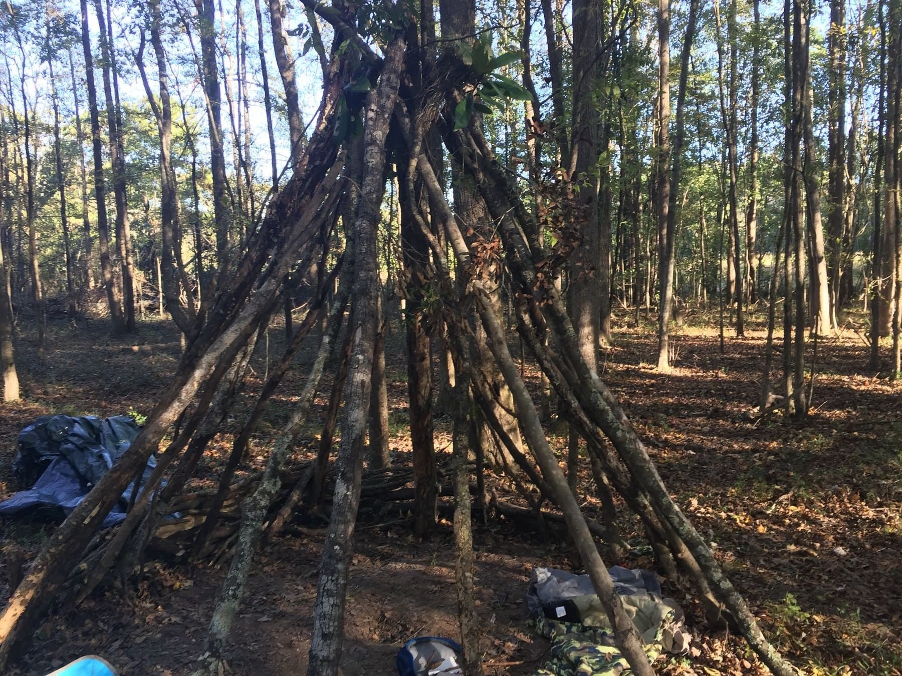 A tall teepee-style frame of poles leaning against a tree in the woods
